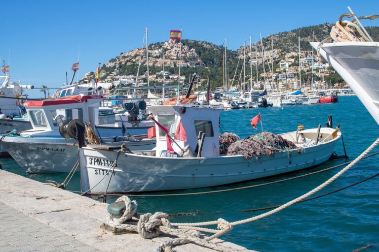 Urlaub auf Mallorca: Diese Gesetze müssen Reisende vorab kennen