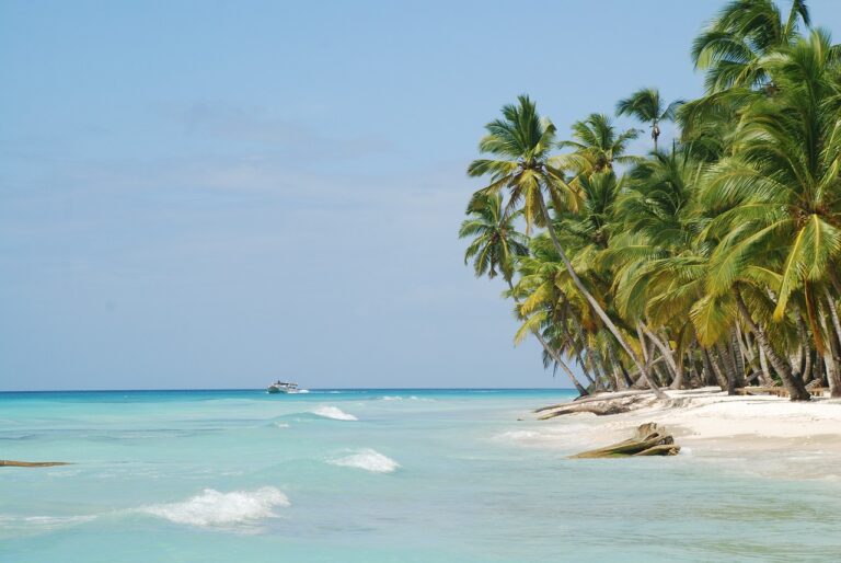Schlusslicht: Diese Reiseziele im Dezember sind beliebt