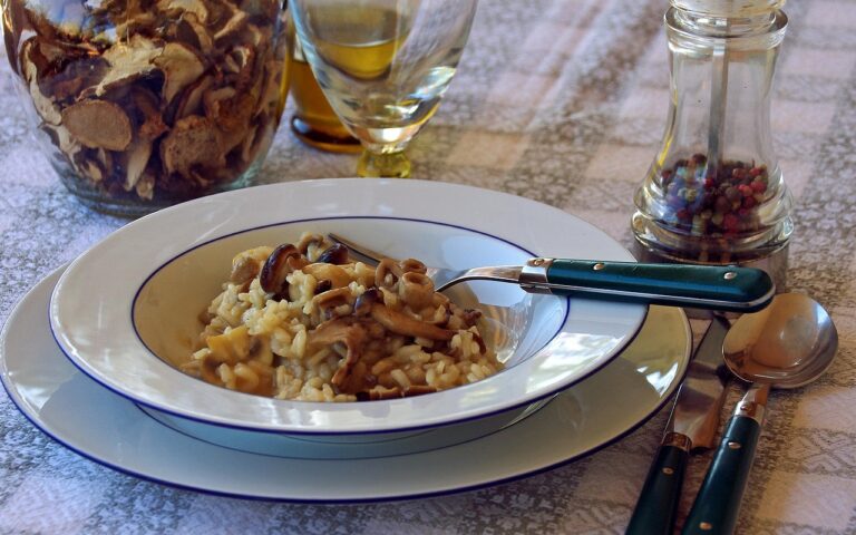 Welcher Wein zu Risotto mit Pilzen? Perfekte Kombinationen für ein Genuss-Erlebnis